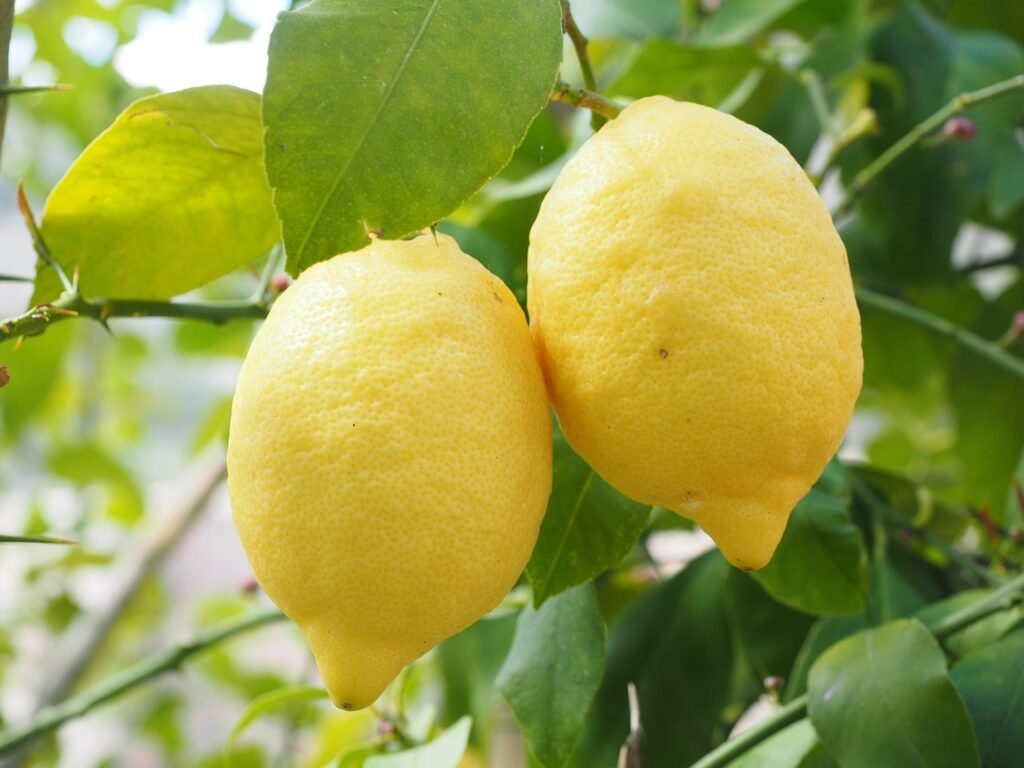 cómo eliminar manchas en el pecho de forma natural